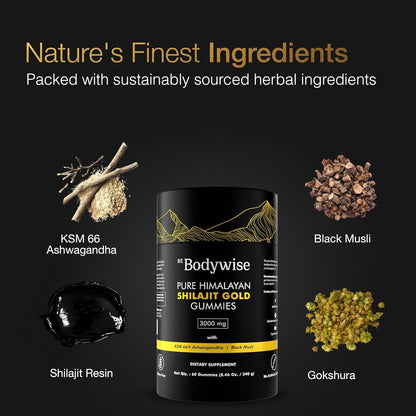 Natural Energy Boost Shilajit Gummies