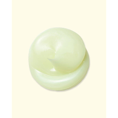 Anti Aging Night Cream for Skin Renewal 20g