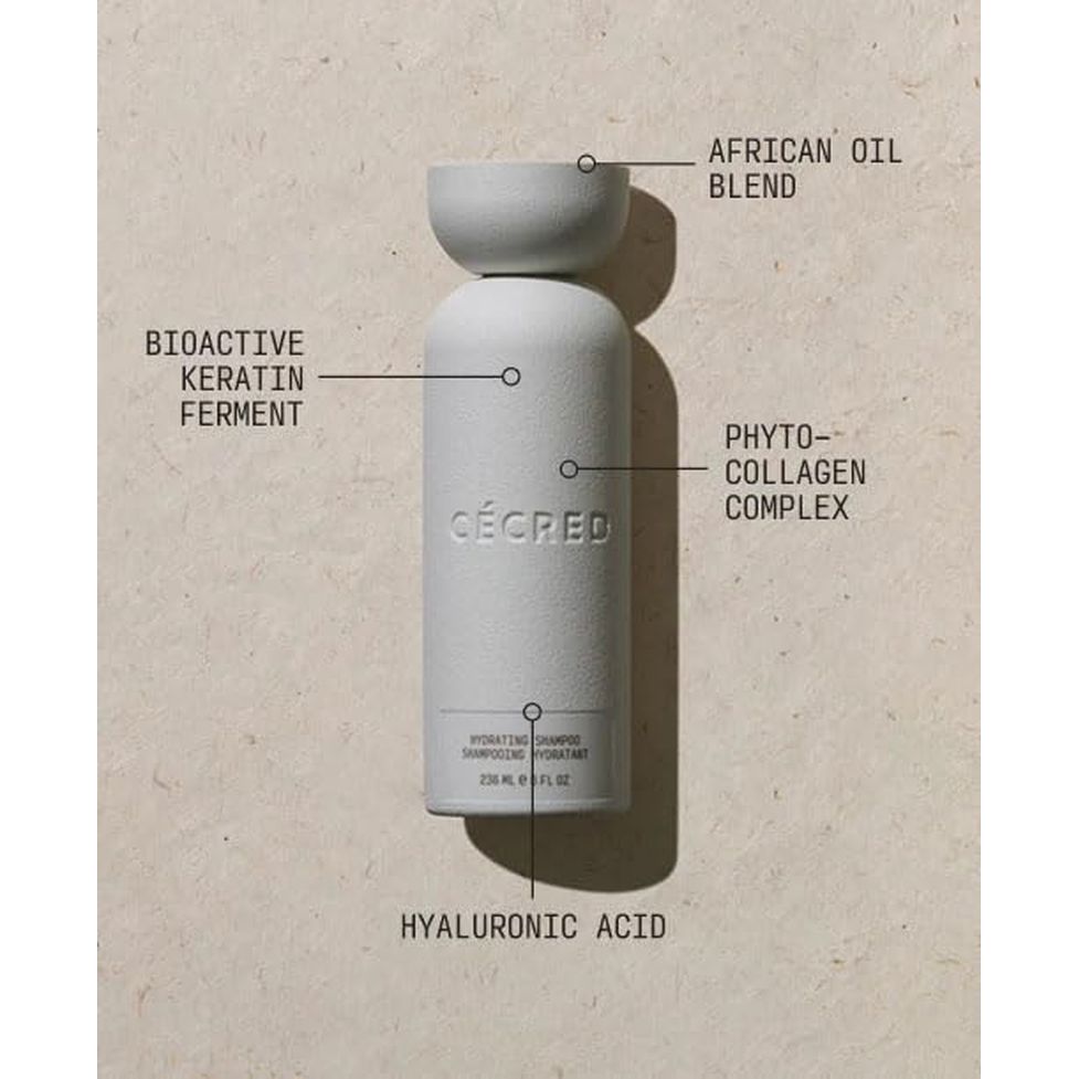 Moisturizing Shampoo 236ml - Gentle Daily Care