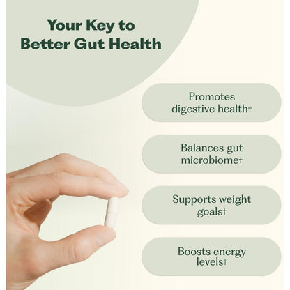 Probiotic Gut Health Supplement 30 Capsules