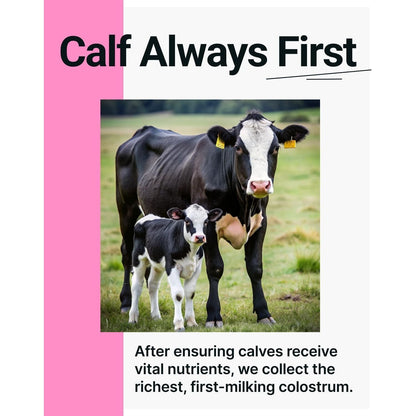 Premium First Milking Colostrum Powder Supplement