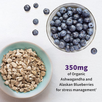 Natural Probiotic Capsules for Mood and Digestive Health
