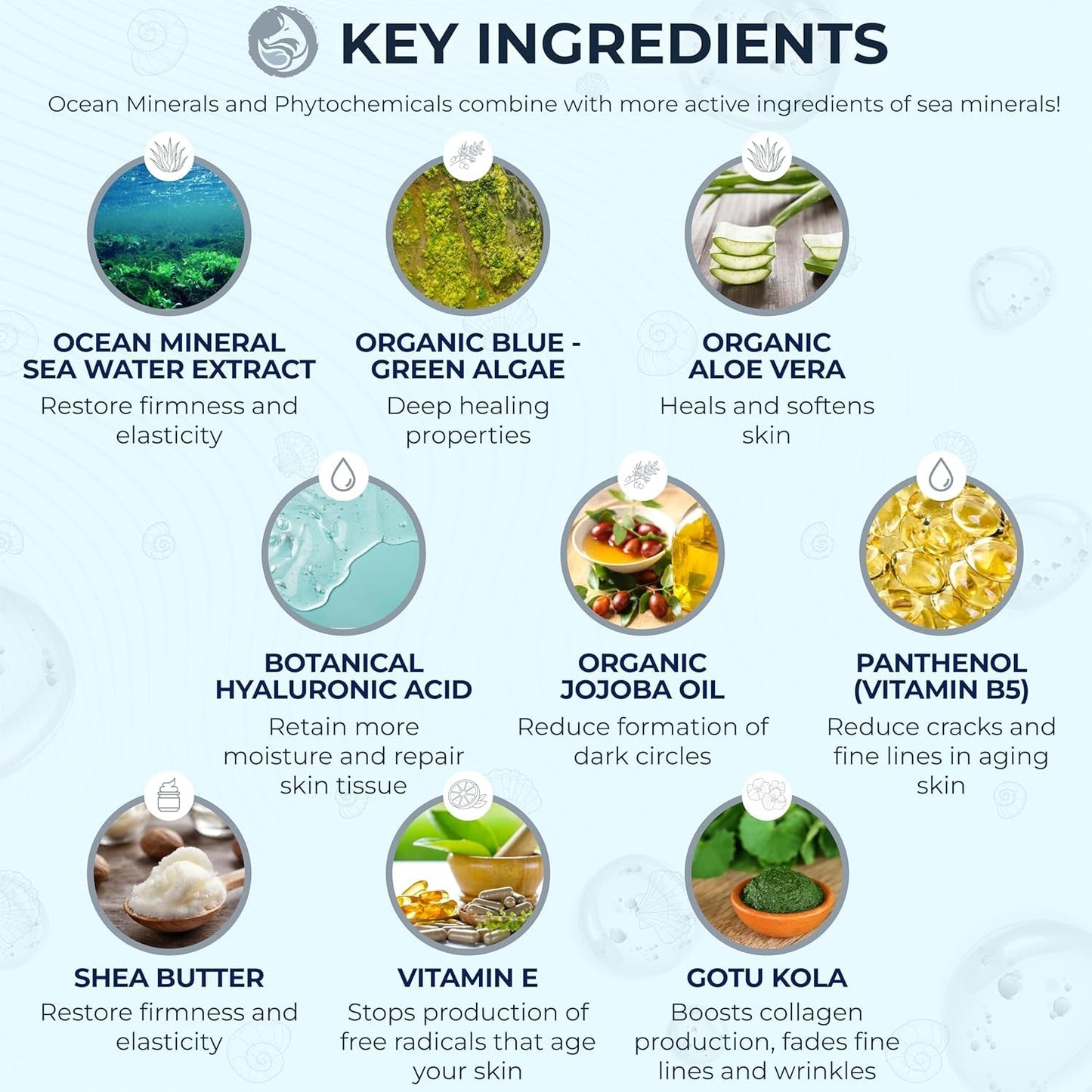 Natural Ocean Moisturizer Cream - Anti Aging Face Lotion