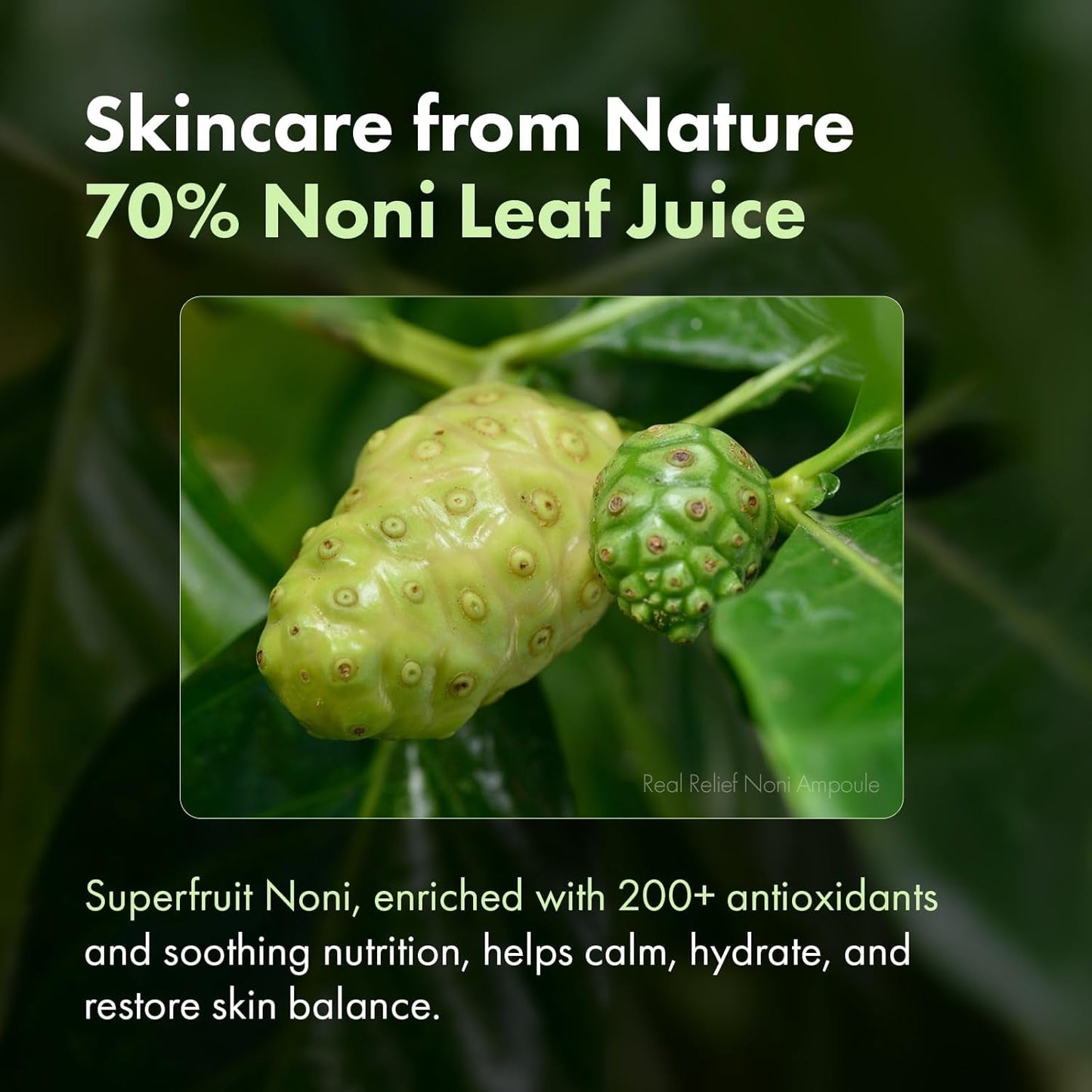Natural Soothing Noni Serum 33ml Moisturizing Calm Skin Glow