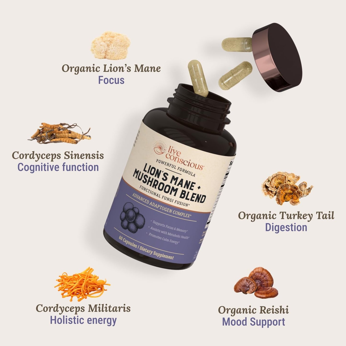 Natural Brain Boost Mushroom Supplement Capsules