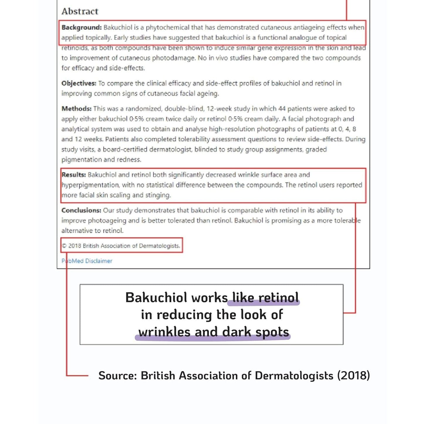 Natural Korean Bakuchiol Serum 30ml - Glow & Anti Aging