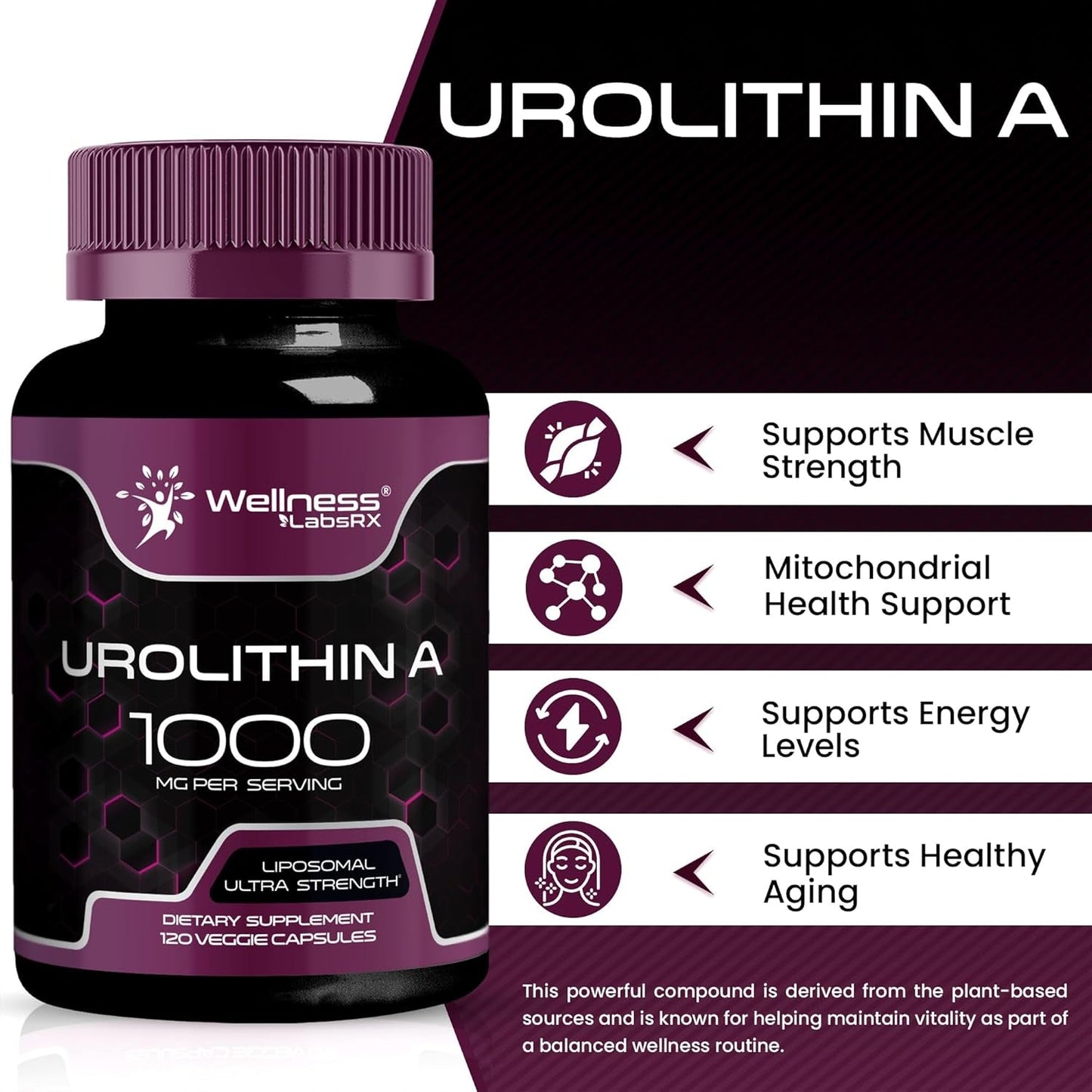 Powerful Anti Aging Cell Renewal Supplements