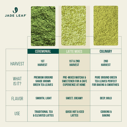 Green Tea Matcha Powder 100g - Natural Energy Boost