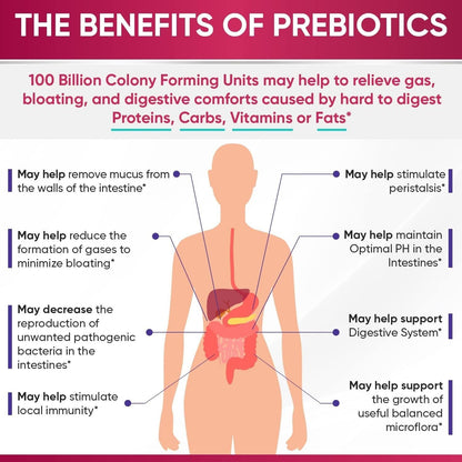 Natural Probiotic Supplement for Women - 60 Capsules