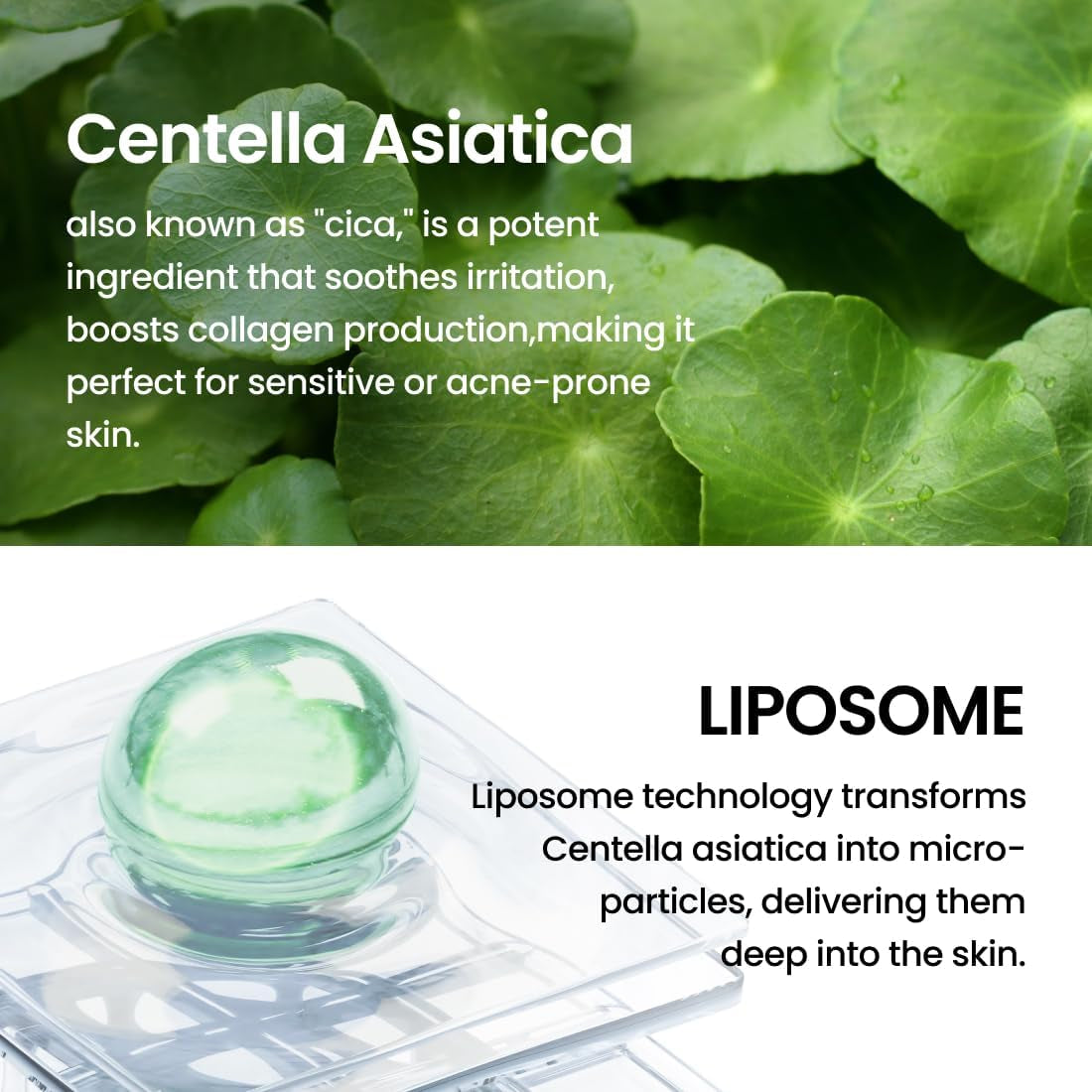 Gentle Moisturizing Foam Toner
