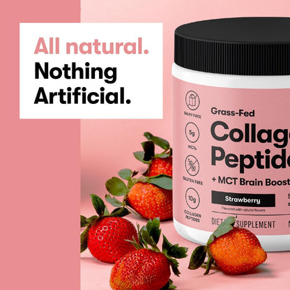Delicious Low Carb Chocolate Keto Collagen Protein Powder