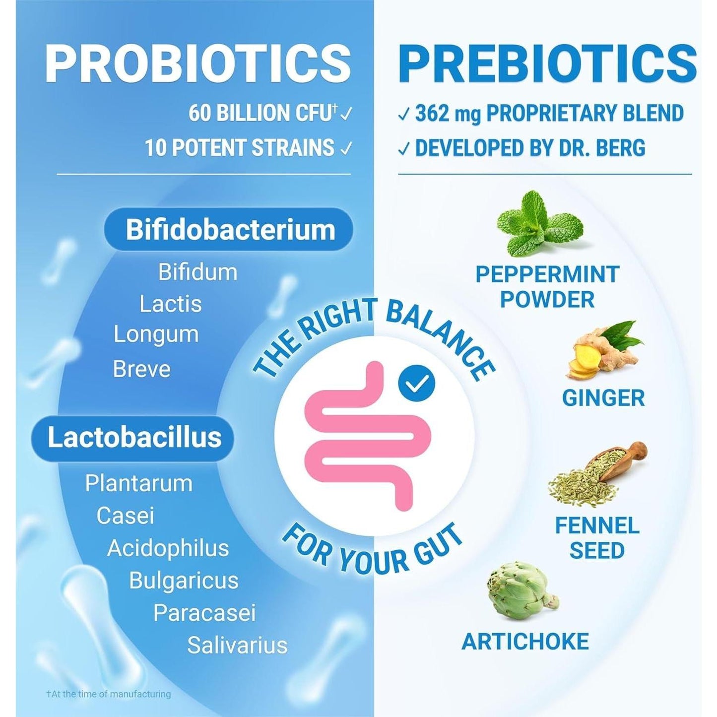 Probiotic Supplement 60 Billion CFU with Prebiotics