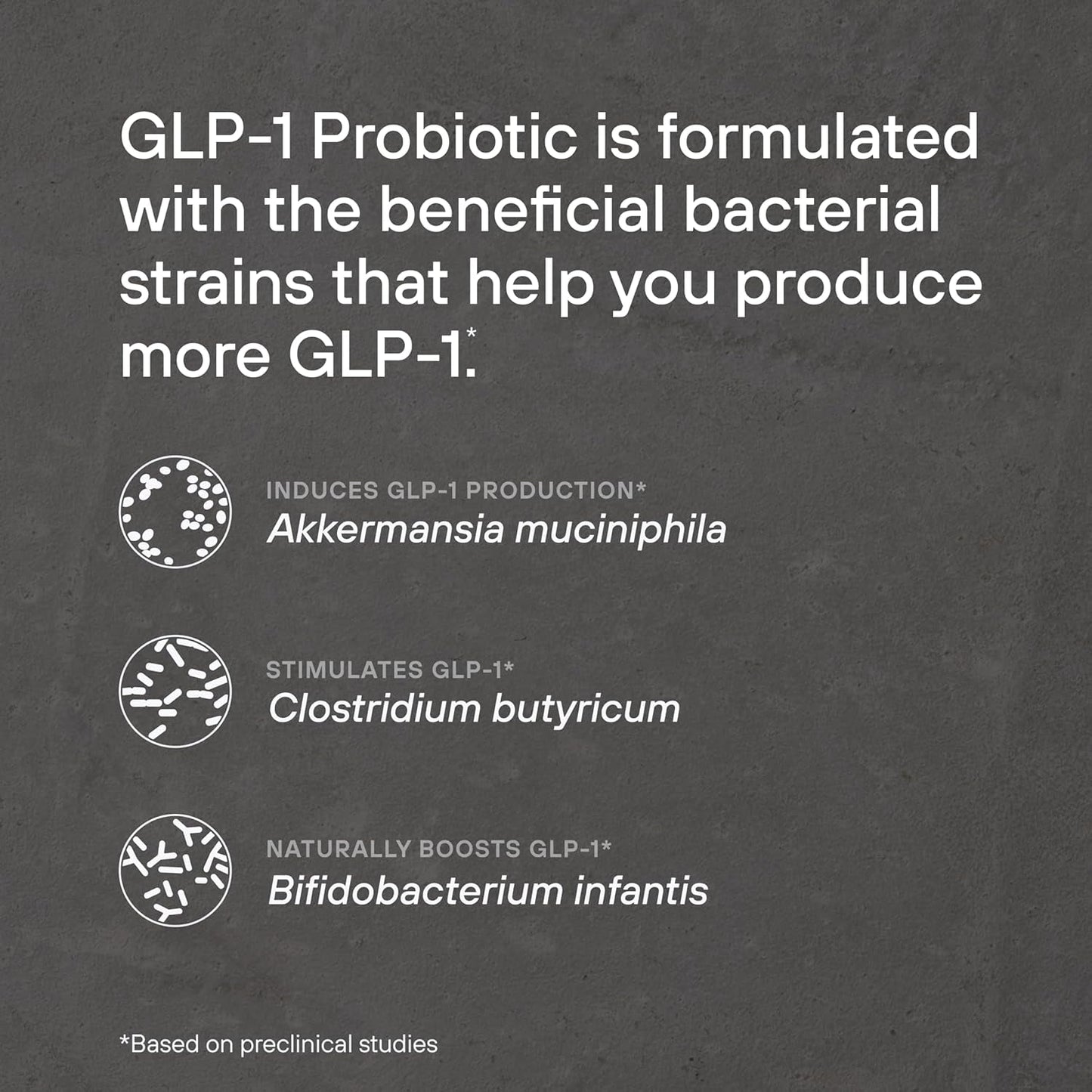 Natural Probiotic Supplement for Gut Health & Energy