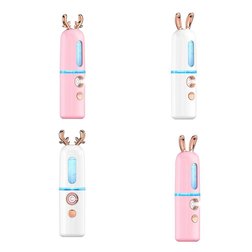 Portable Mini Facial Steamer with Cool Mist Spray