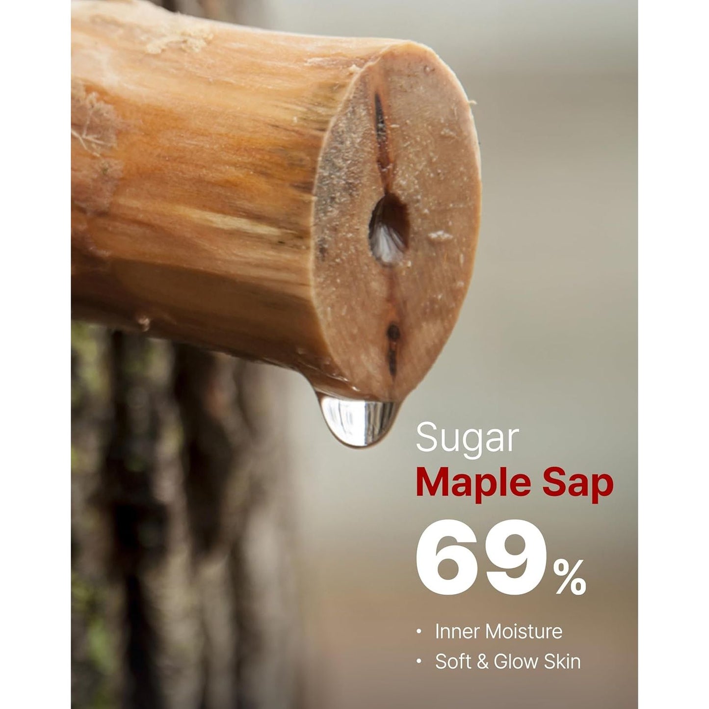 Natural Hydrating Face Moisturizer Cream with Maple Extract