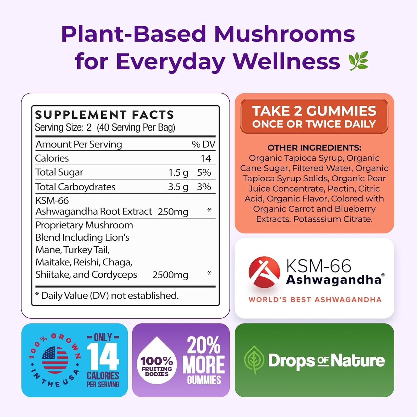 Natural Immune Boost Mushroom Gummies