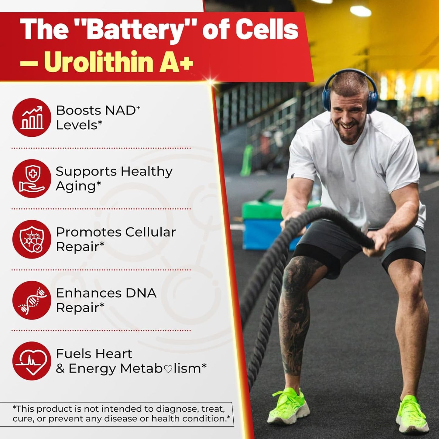 Anti Aging Urolithin A Gummies for Vitality Boost