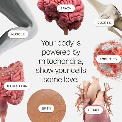 Premium Urolithin A Softgels for Cellular Health Boost