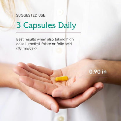 Natural Immune Booster Supplement with Turmeric & Mushrooms