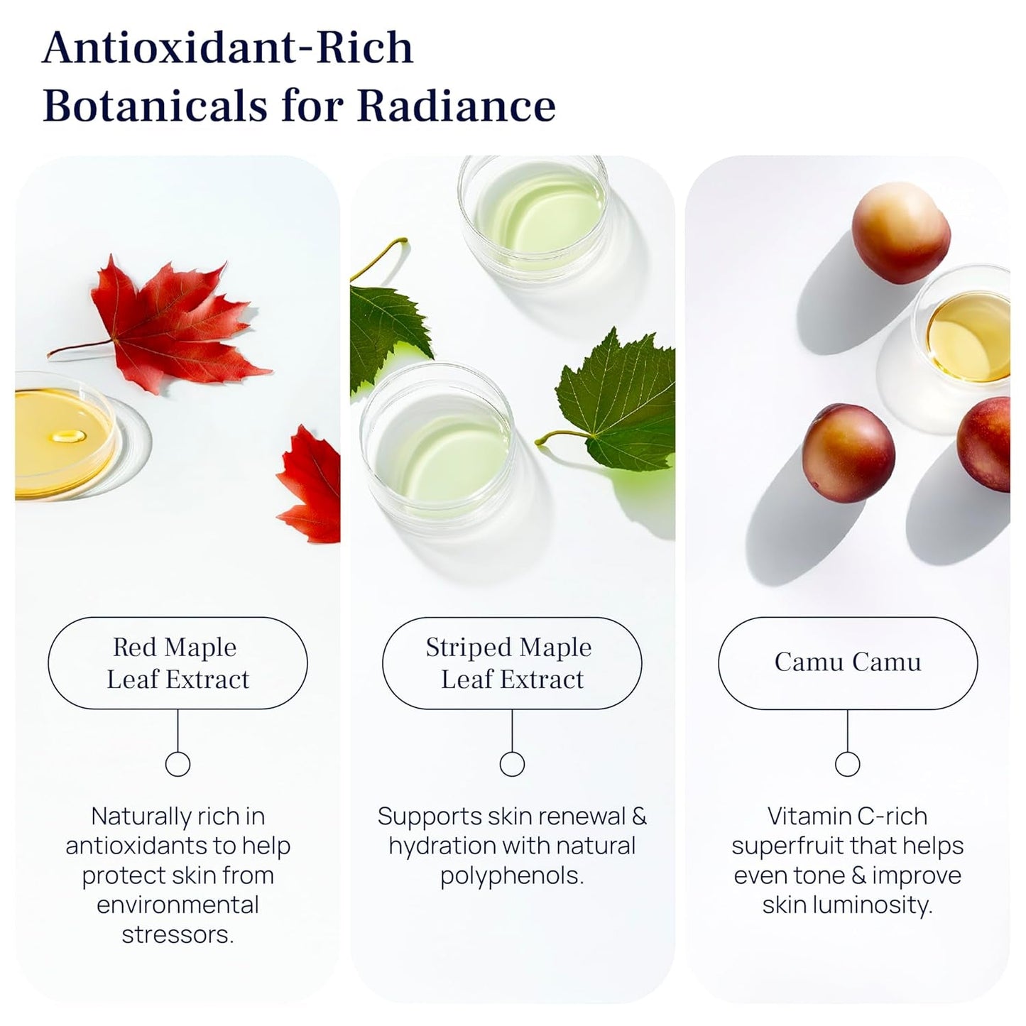 Natural Anti Aging Face Serum - Reduces Wrinkles