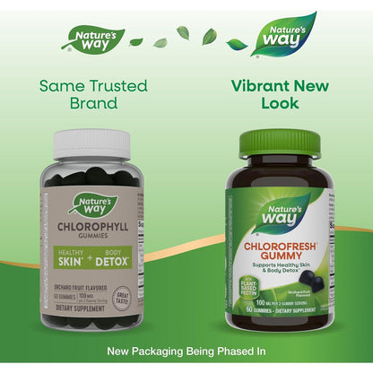 Green Tea Chlorophyll Gummies for Fresh Breath