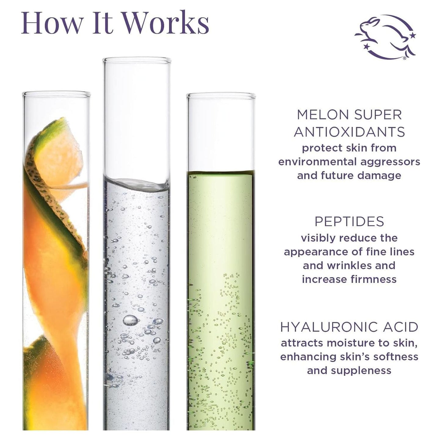 Natural Anti Aging Day Moisturizer with SPF 30