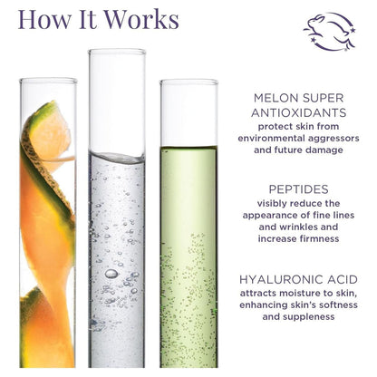 Natural Anti Aging Day Moisturizer with SPF 30