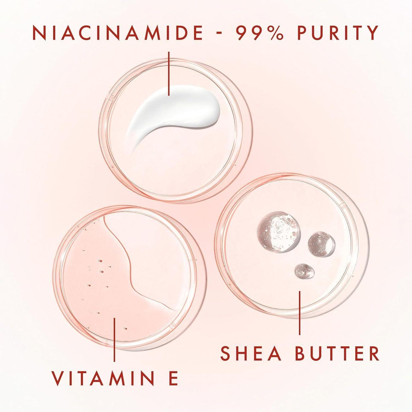 Hydrating Niacinamide Night Cream with Vitamin E & Shea Butter