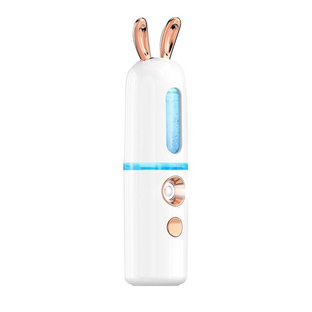 Portable Mini Facial Steamer with Cool Mist Spray