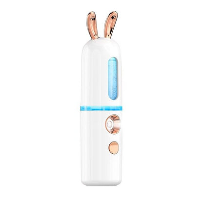 Portable Mini Facial Steamer with Cool Mist Spray
