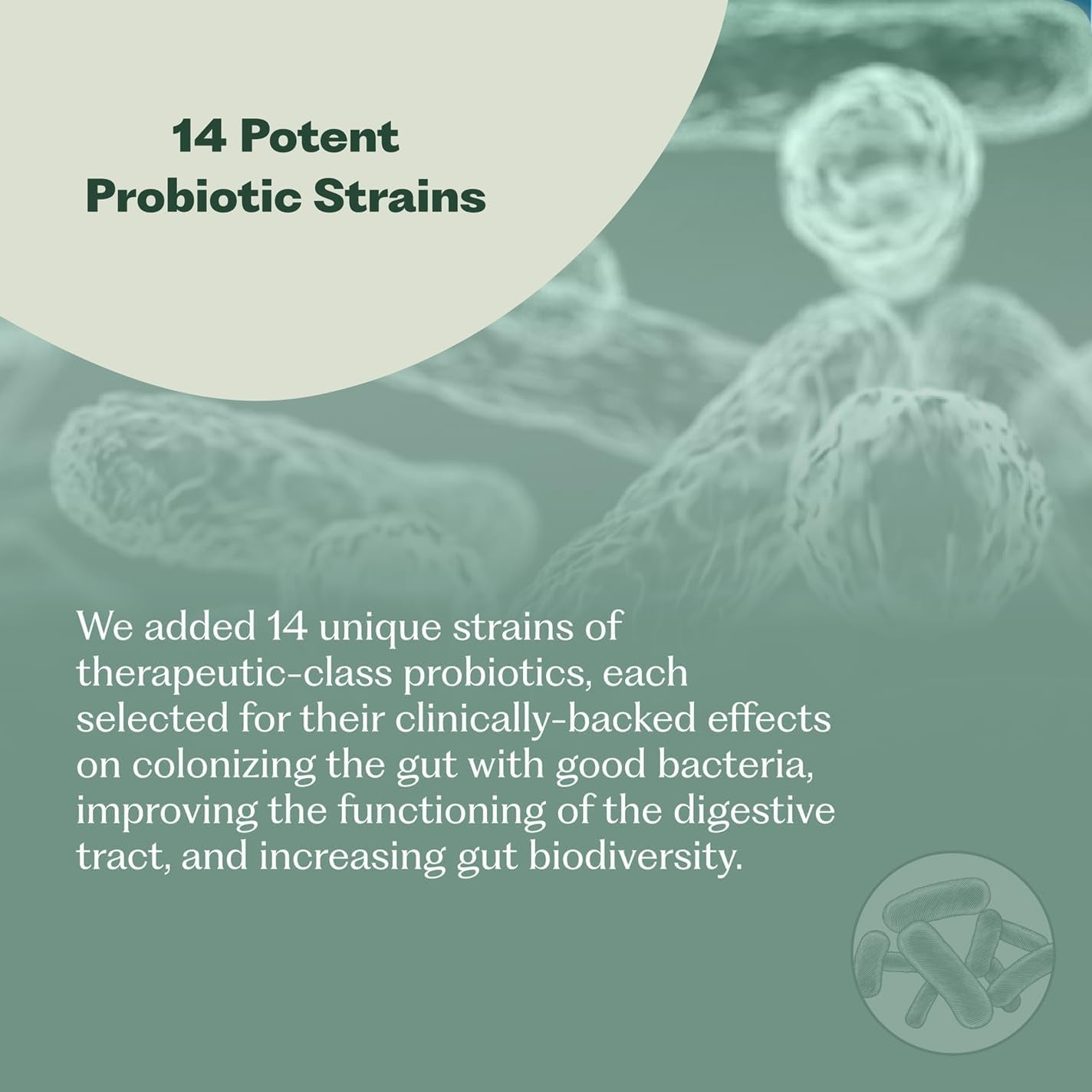 Probiotic Gut Health Supplement 30 Capsules
