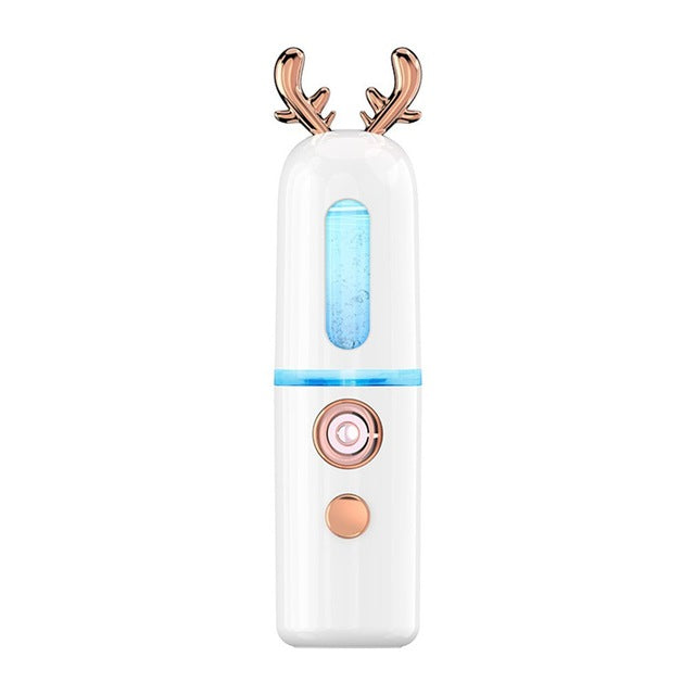 Portable Mini Facial Steamer with Cool Mist Spray