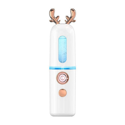 Portable Mini Facial Steamer with Cool Mist Spray