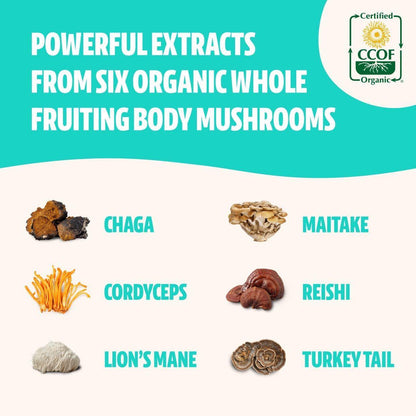Natural Mushroom Supplement - 120 Capsules for Immunity Boost