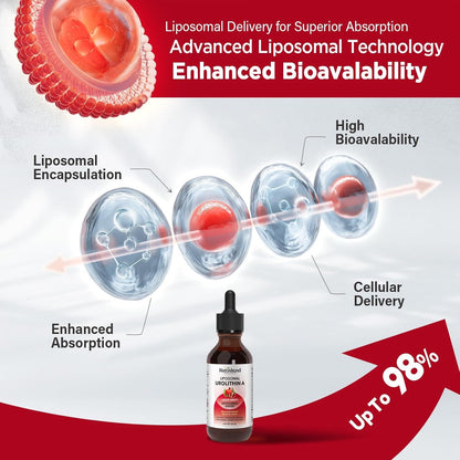 Powerful Anti Aging Liposomal Urolithin A Liquid Drops