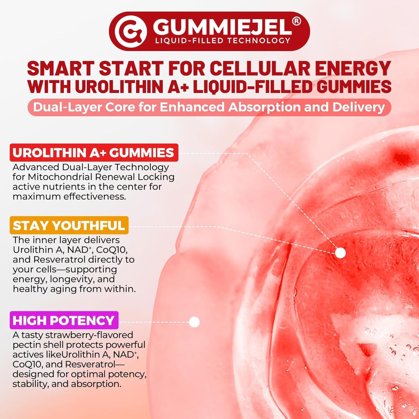 Anti Aging Urolithin A Gummies for Vitality Boost