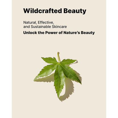 Natural Hydrating Face Moisturizer Cream with Maple Extract