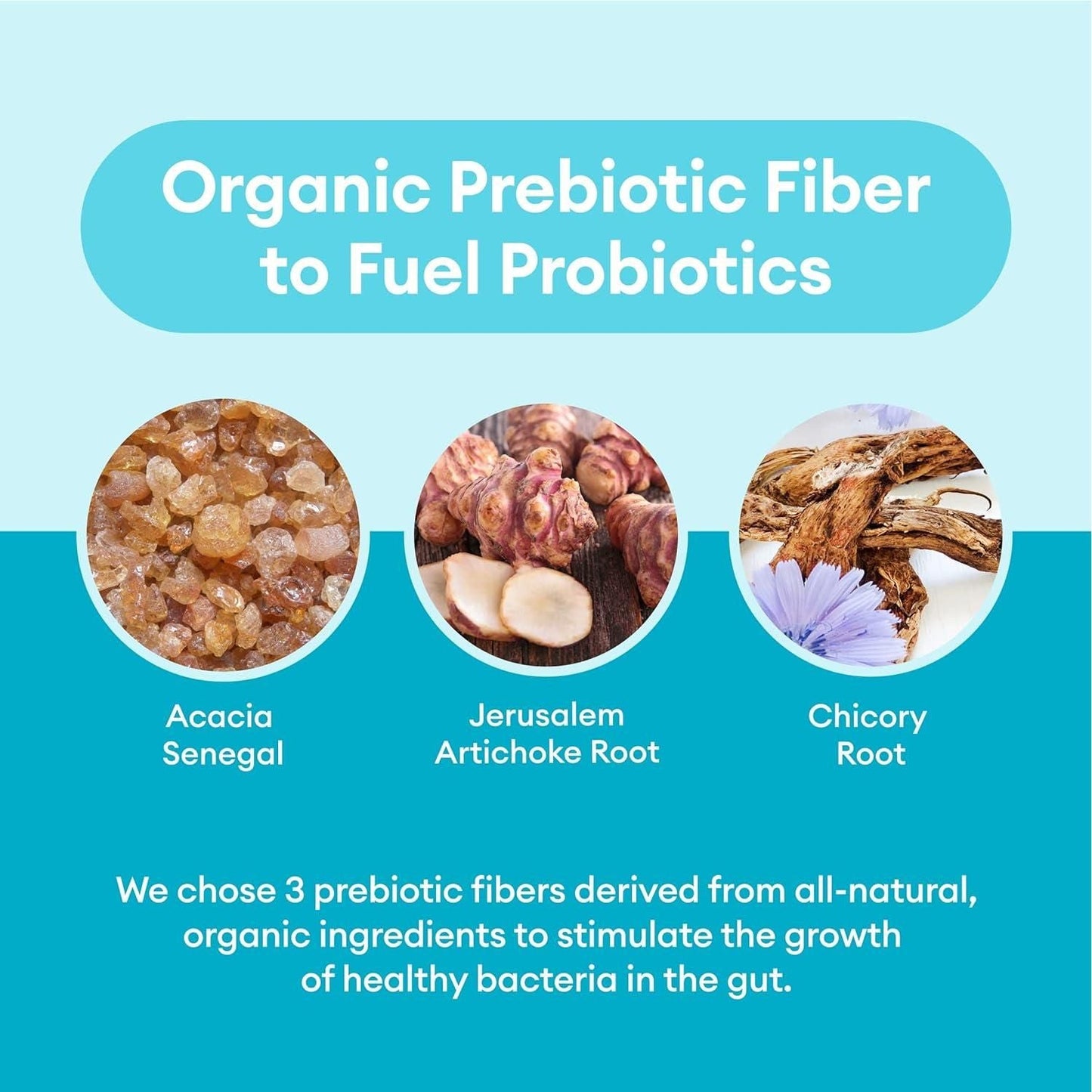 Ultra Strength Probiotic Supplement 60 Billion CFU
