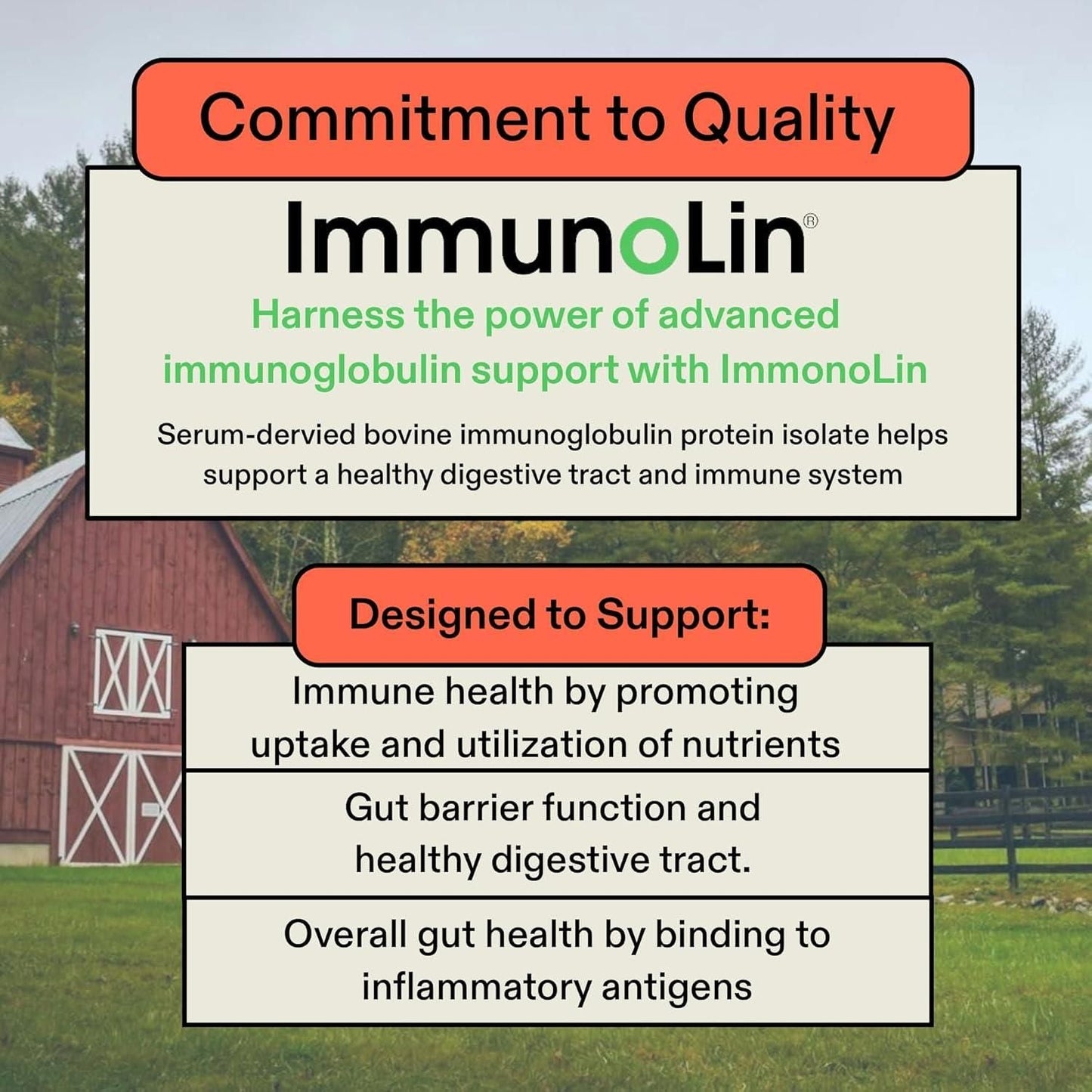 Natural Immunity Booster Supplement - 30 Orange Packs