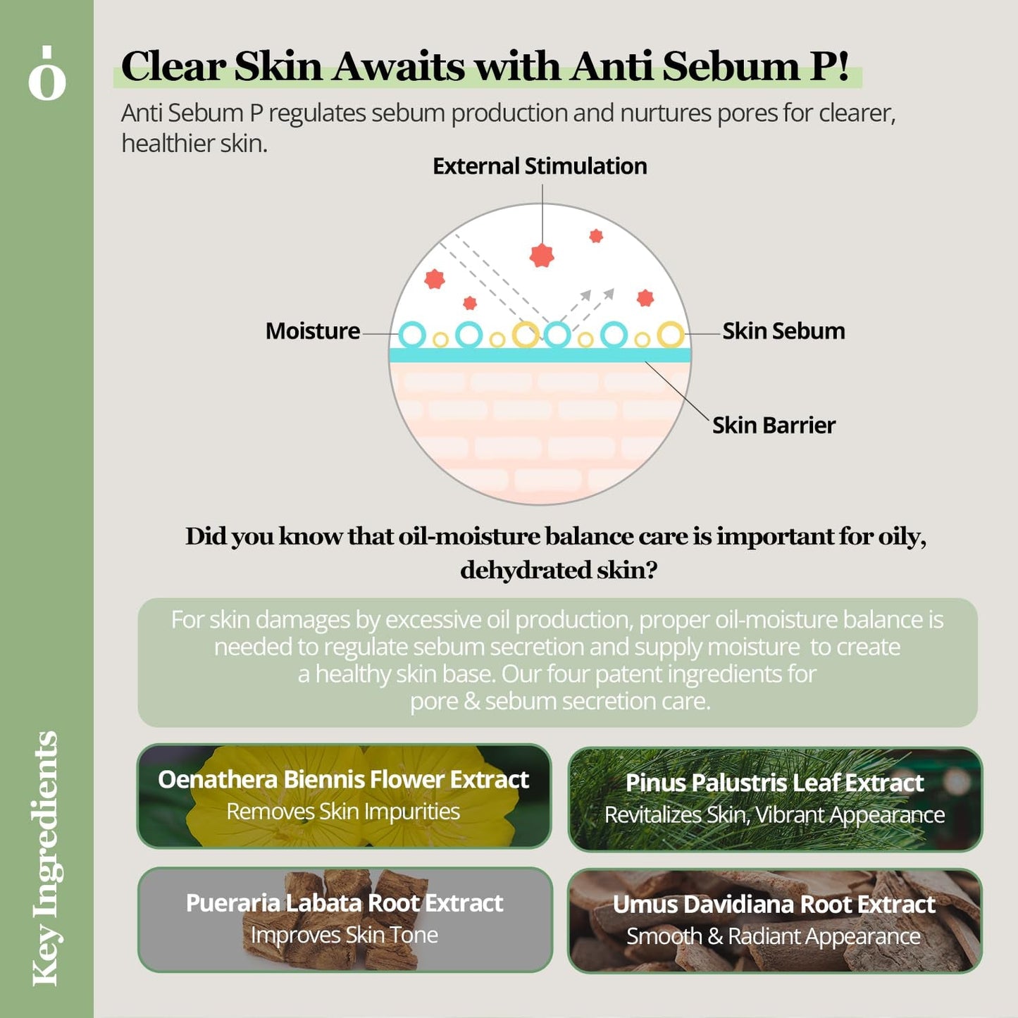 Natural Moisturizing Face Cream