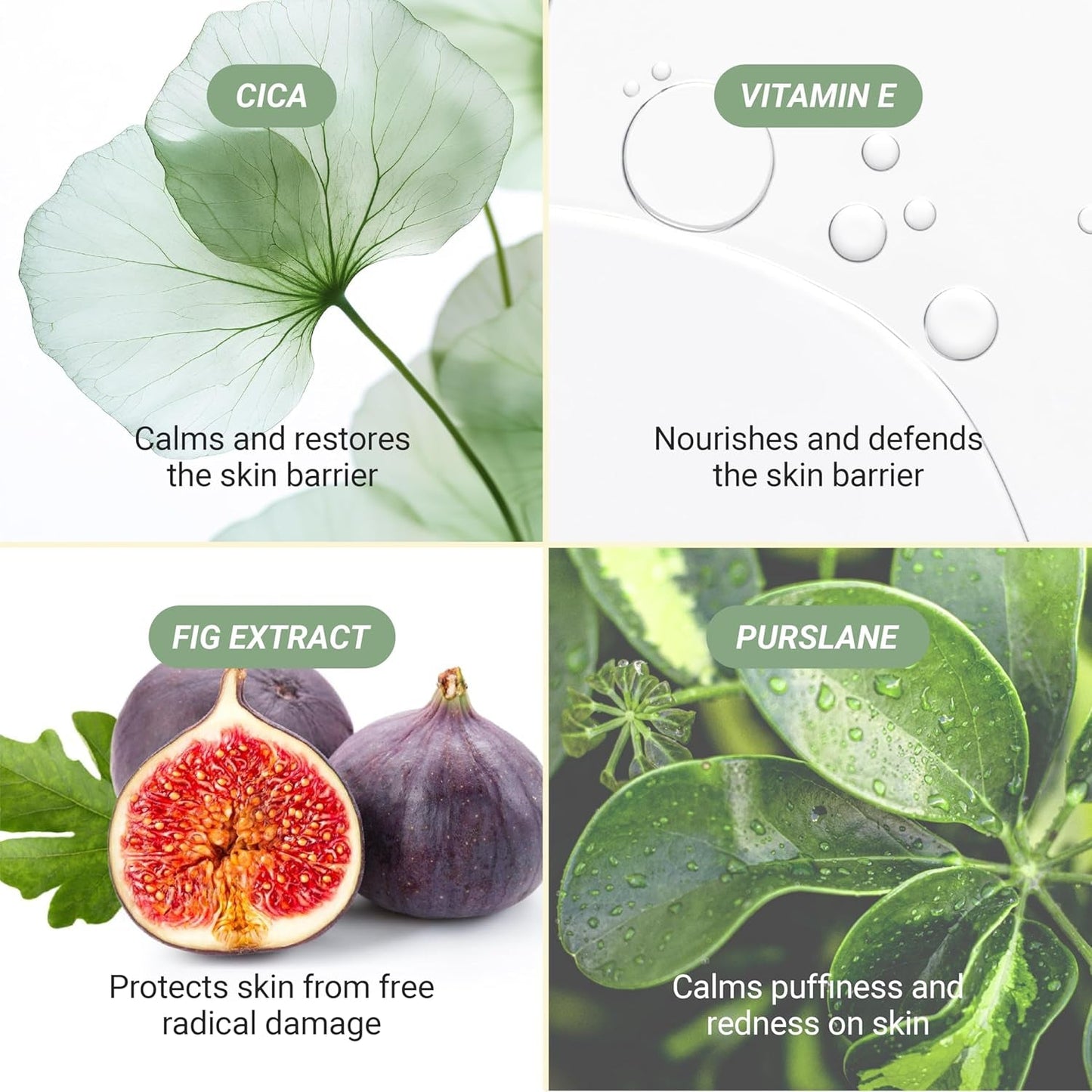 Gentle Calming Facial Toner Spray