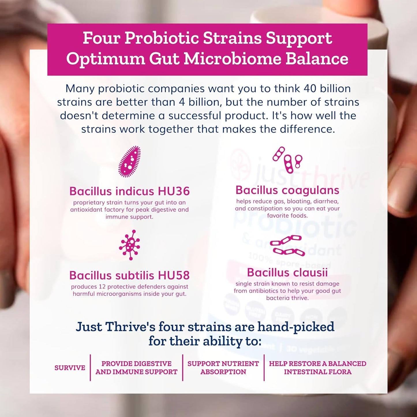 Effective Probiotics & Antioxidants Gut Health Supplement