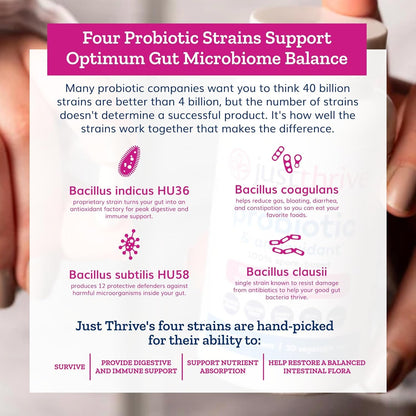 Effective Probiotics & Antioxidants Gut Health Supplement