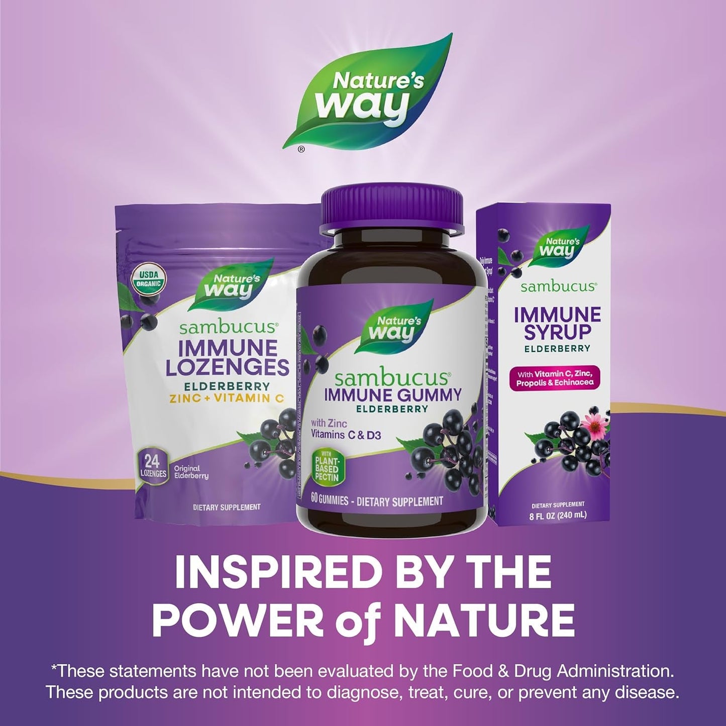 Elderberry Immune Boost Gummies with Vitamin C & Zinc