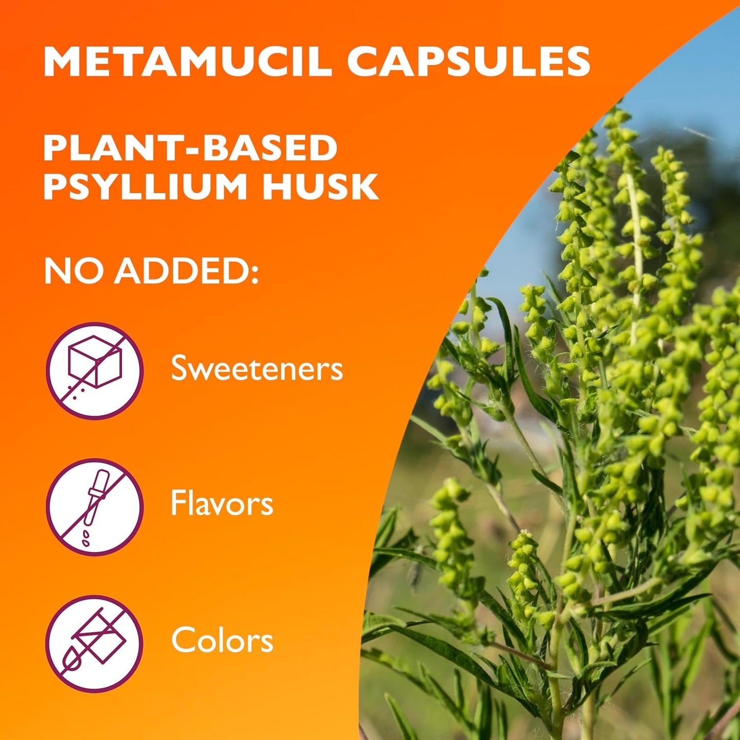 Natural Psyllium Fiber Capsules for Digestive Health