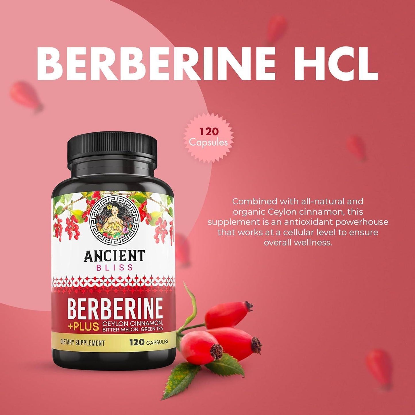 Natural Berberine HCL 1200mg with Cinnamon - 120 Capsules