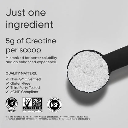 Pure Creatine Powder Dietary Supplement 500g