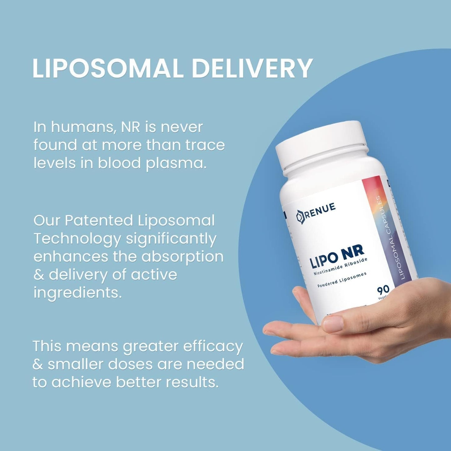 Natural Anti Aging Nicotinamide Capsules for Energy Boost