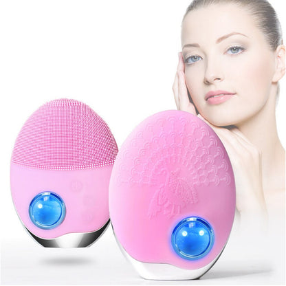 Portable Facial Steamer & Skin Cleanser Device