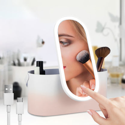 Travel Portable Makeup Organizer Box With LED